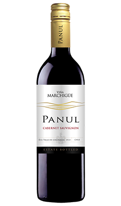 Panul Organic Cabernet Sauvignon 2022 750ml