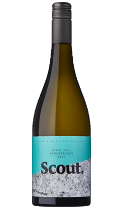 Scout Pinot Gris 2023