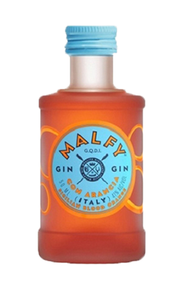 Malfy Gin Con Arancia Mini 50ml